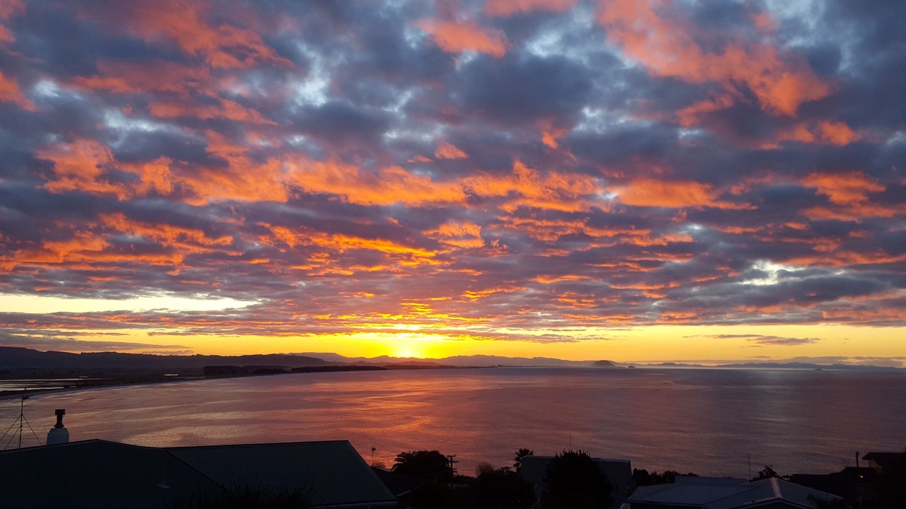 Photo of Others in Maketu