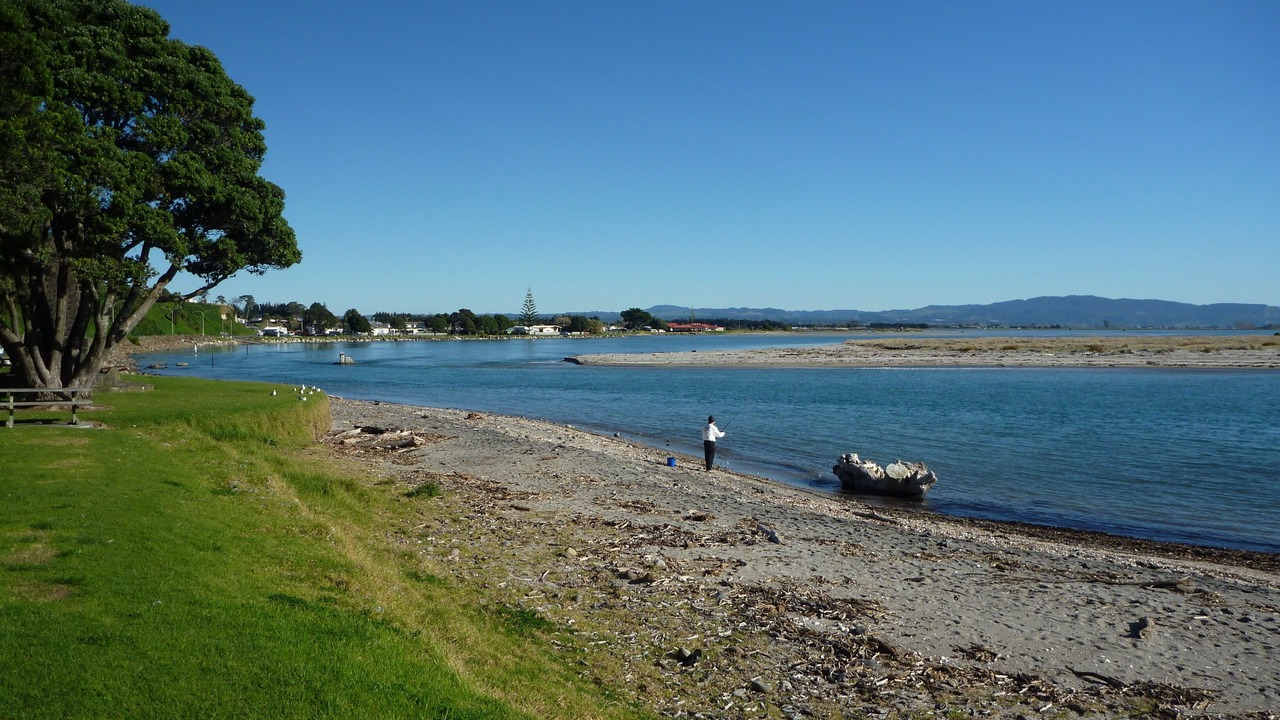 Photo of Others in Maketu