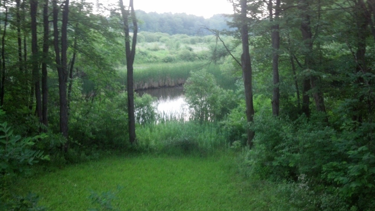 Photo of Outdoor in Prattsburgh