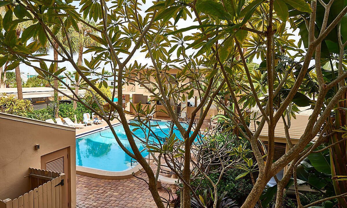 Photo of Outdoor in Madeira Beach