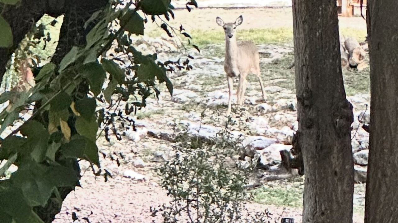 Photo of Others in Spicewood