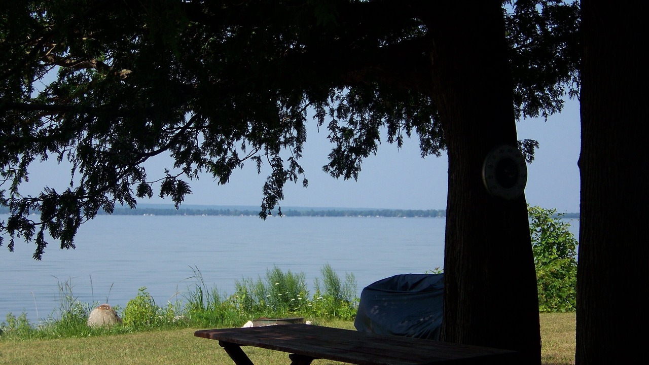 Photo of Outdoor in Onaway