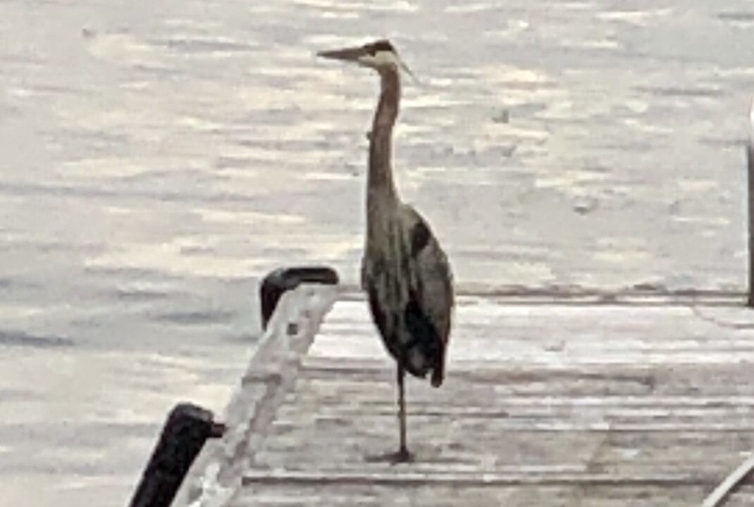 Photo of Others in Frontenac