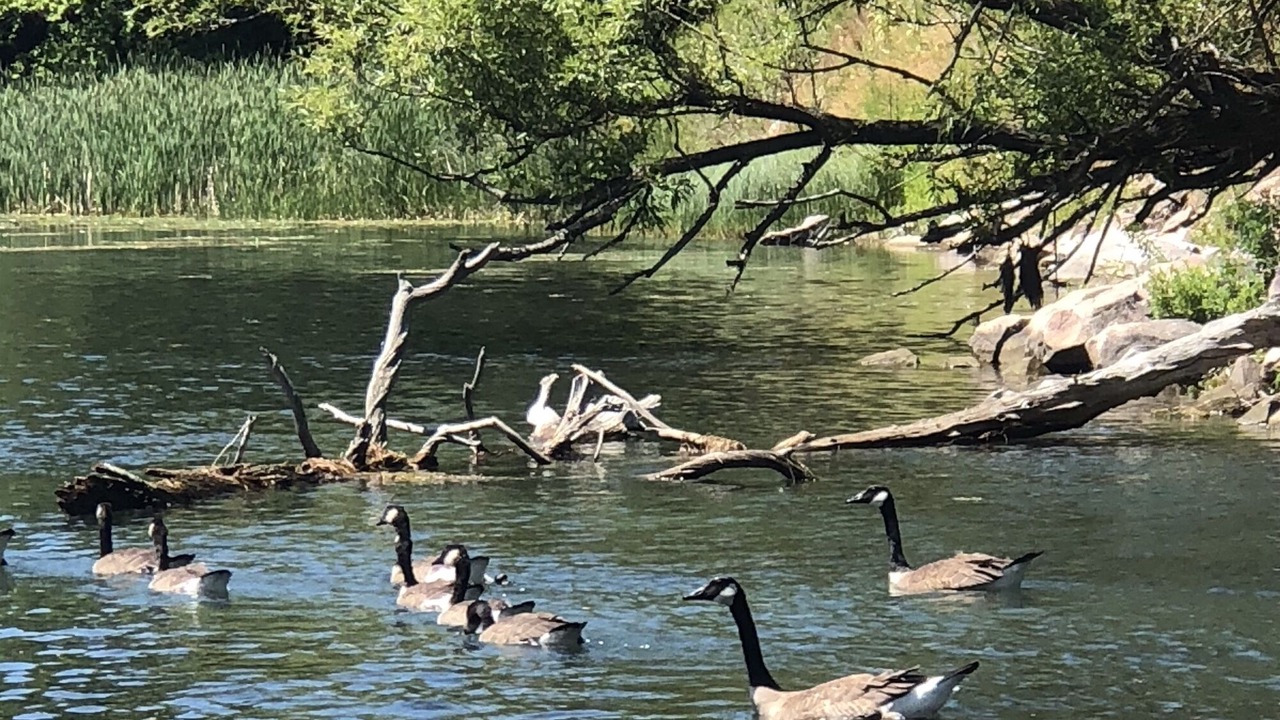 Photo of Others in Frontenac