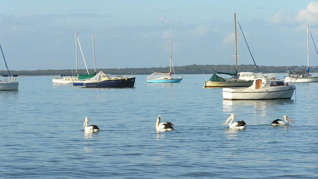 Photo of Others in Callala Bay