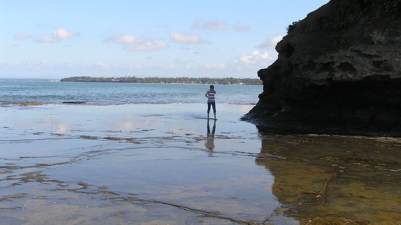 Photo of Others in Callala Bay