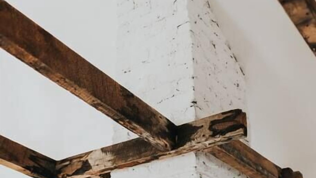 Photo of Others in Marblehead