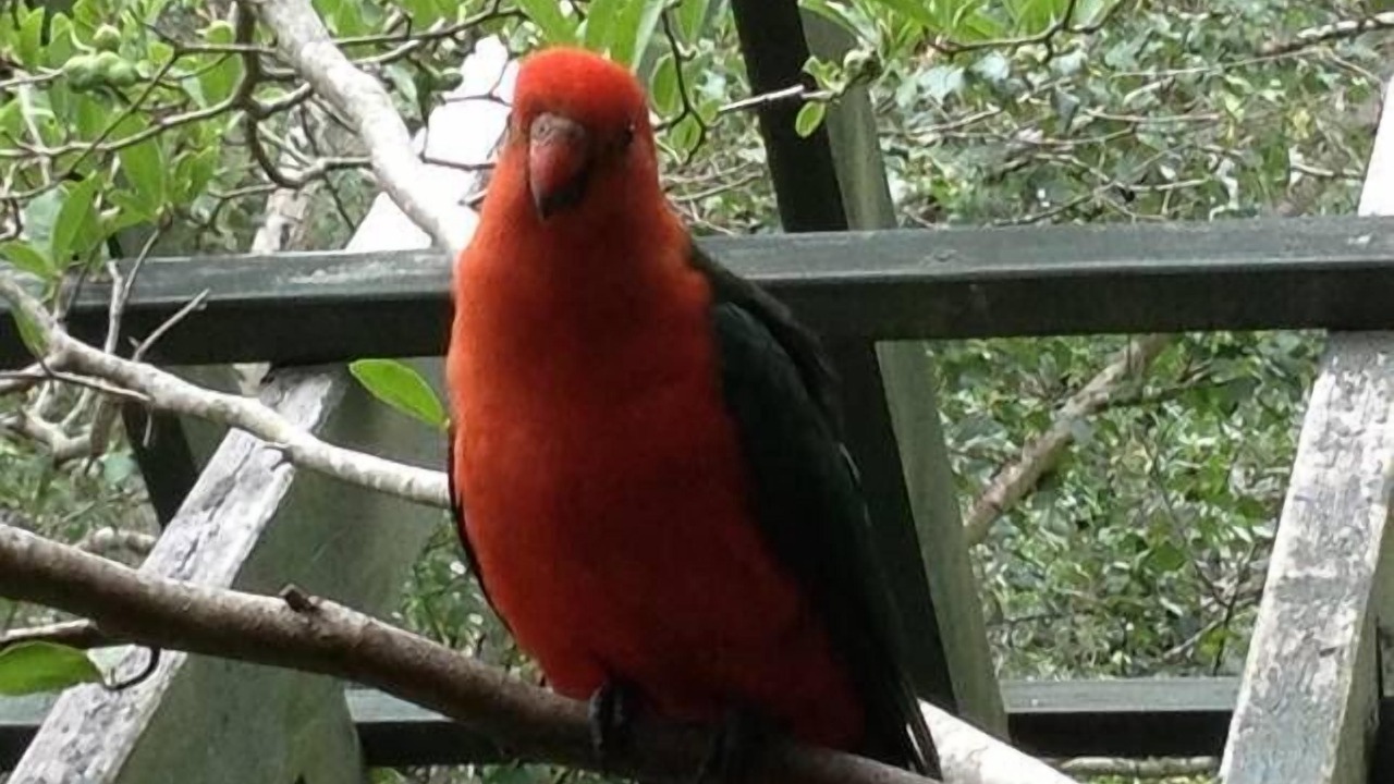 Photo of Outdoor in Berrima