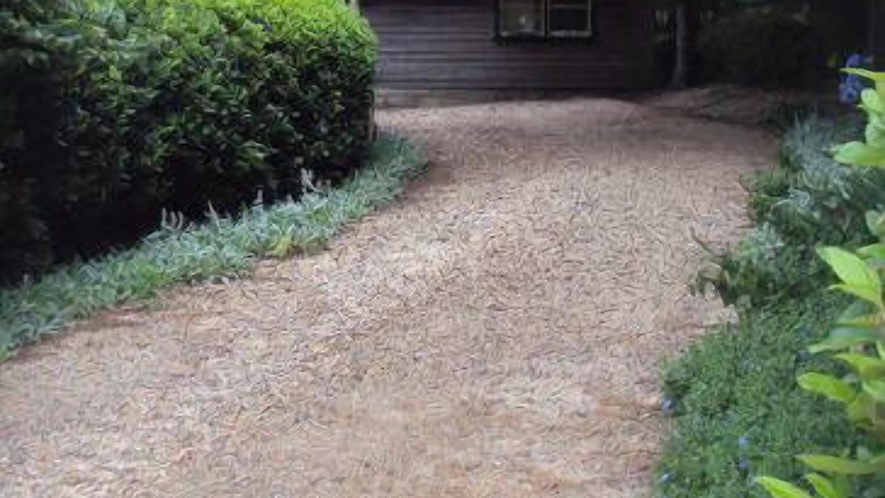 Photo of Outdoor in Berrima