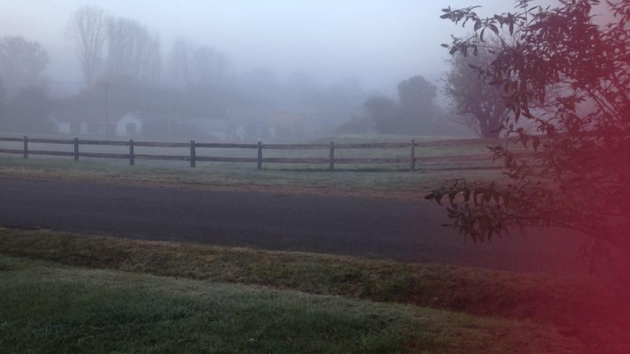 Photo of Others in Berrima
