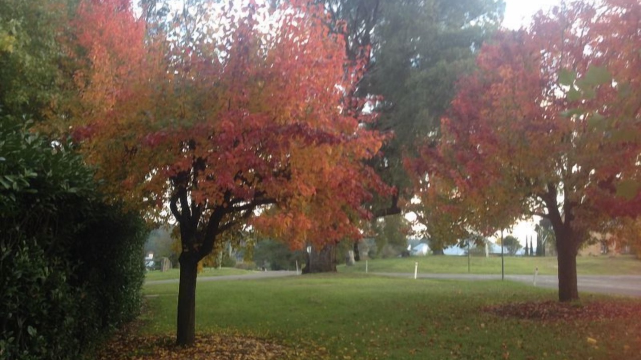 Photo of Others in Berrima