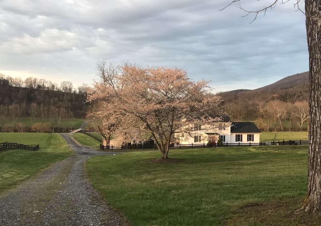 Photo of Outdoor in Fishers Hill