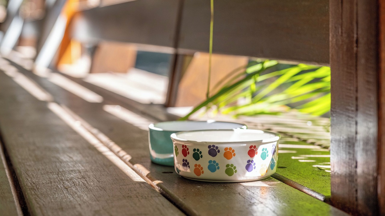 Photo of Others in Elizabeth Beach