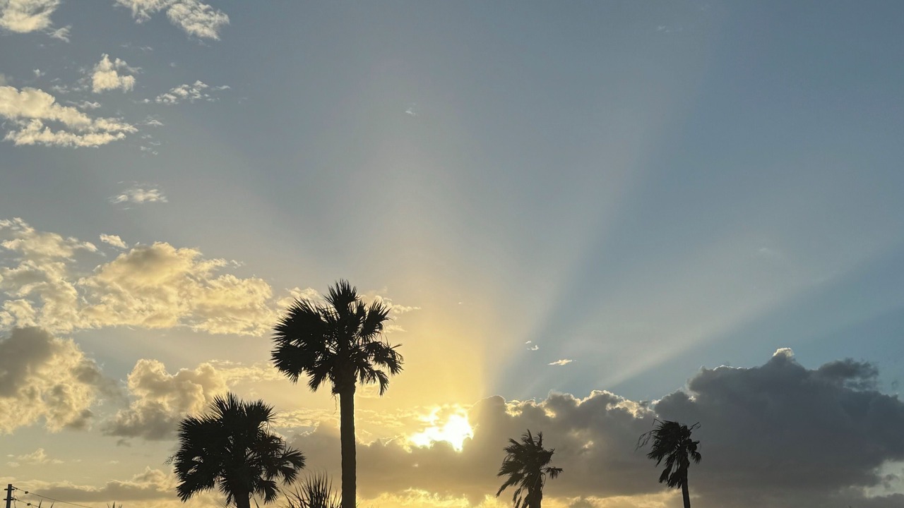 Photo of Others in Cate Gray