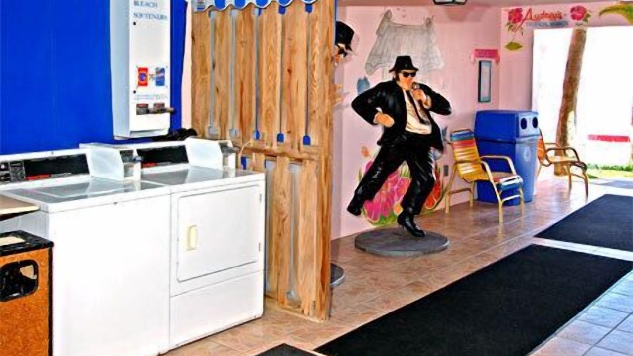 Photo of Others in Cate Gray