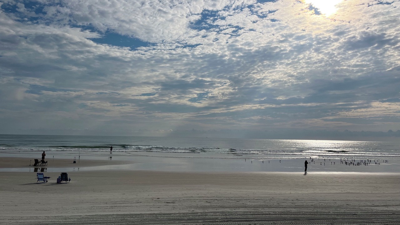 Photo of Others in Cate Gray