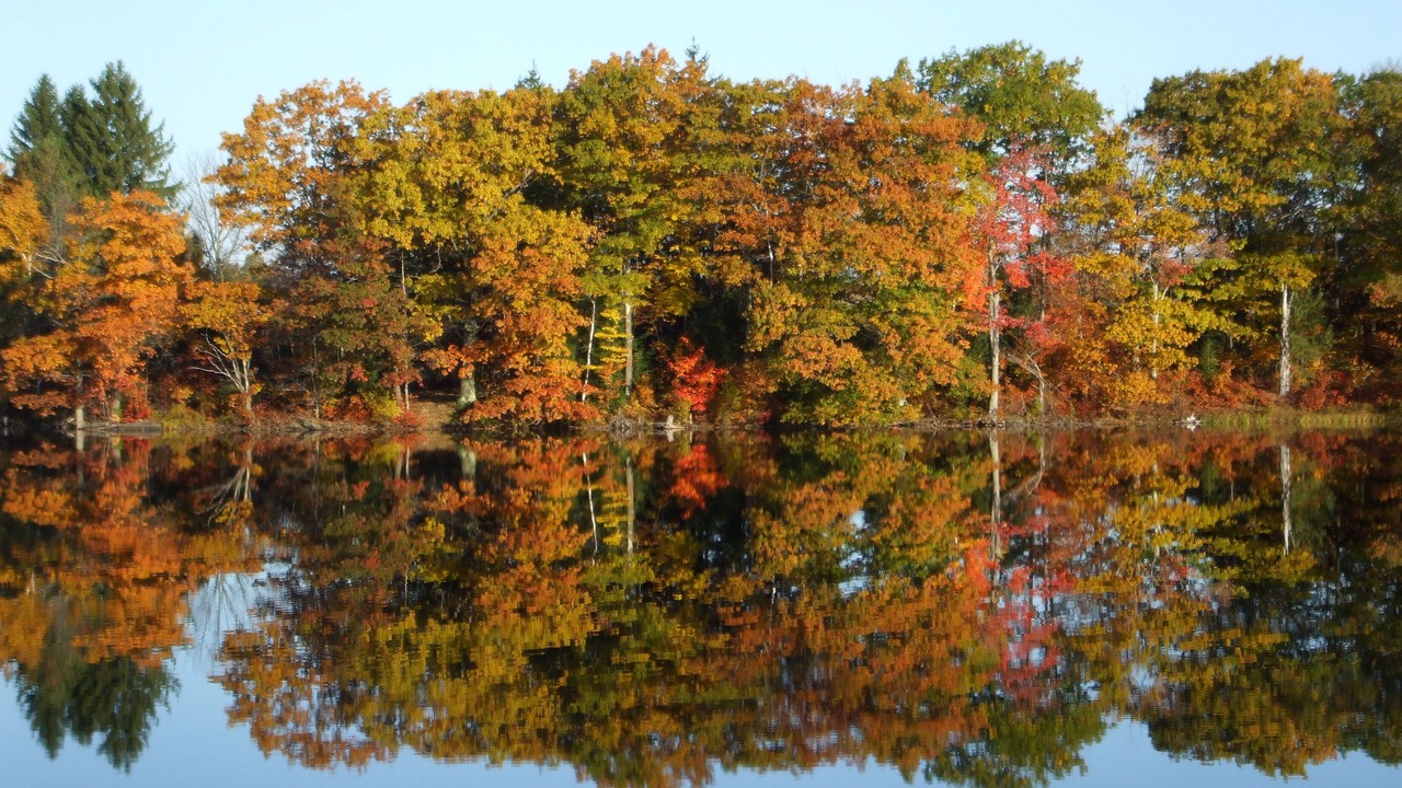 Photo of Others in Jefferson