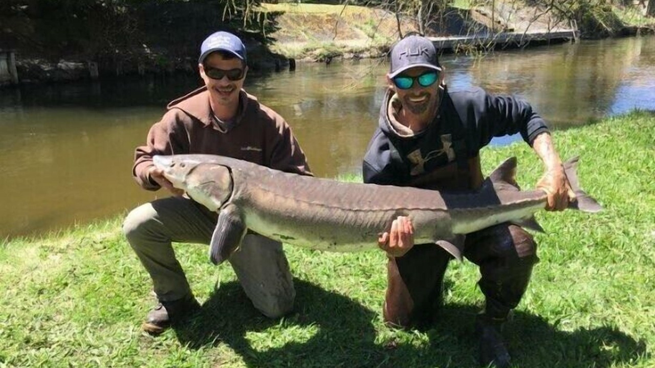 Photo of Outdoor in Indian River