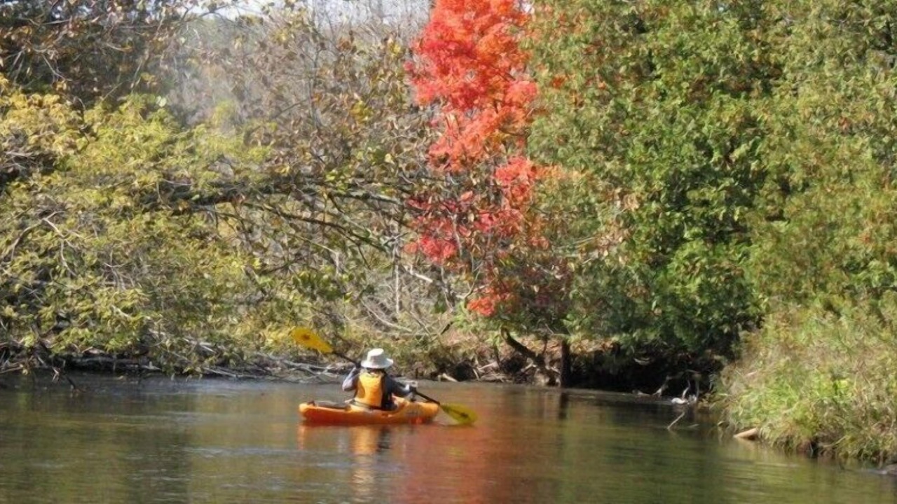Photo of Outdoor in Indian River