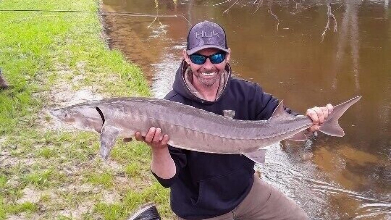 Photo of Others in Indian River