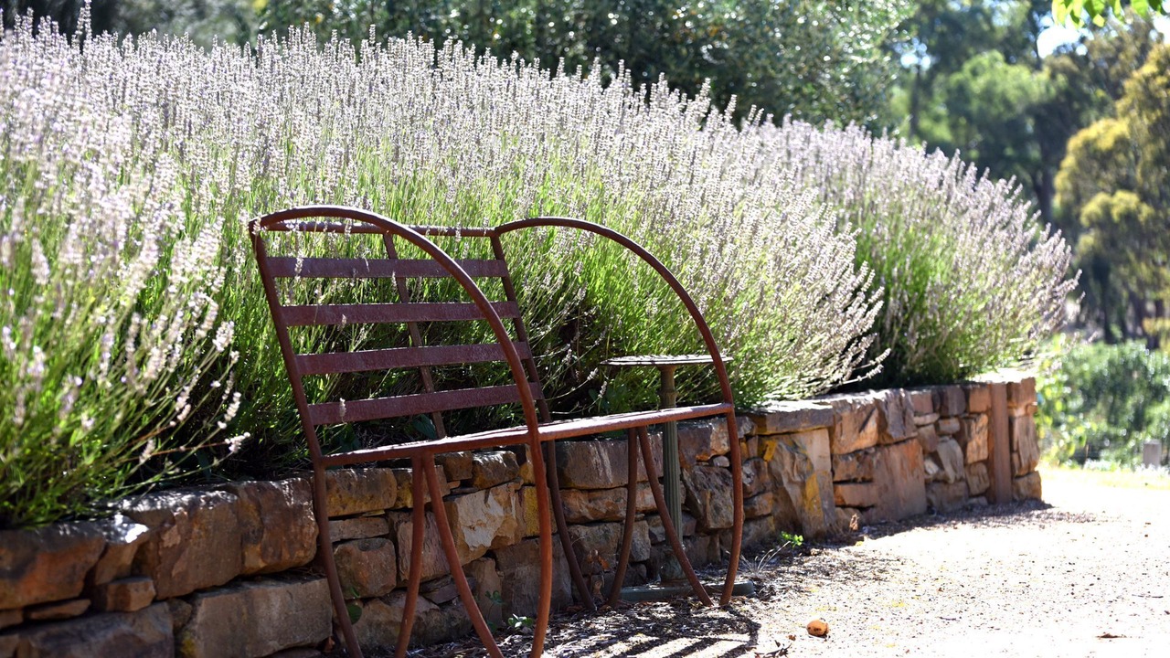 Photo of Outdoor in Castlemaine