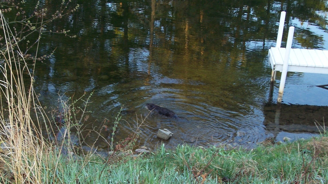 Photo of Others in Indian River