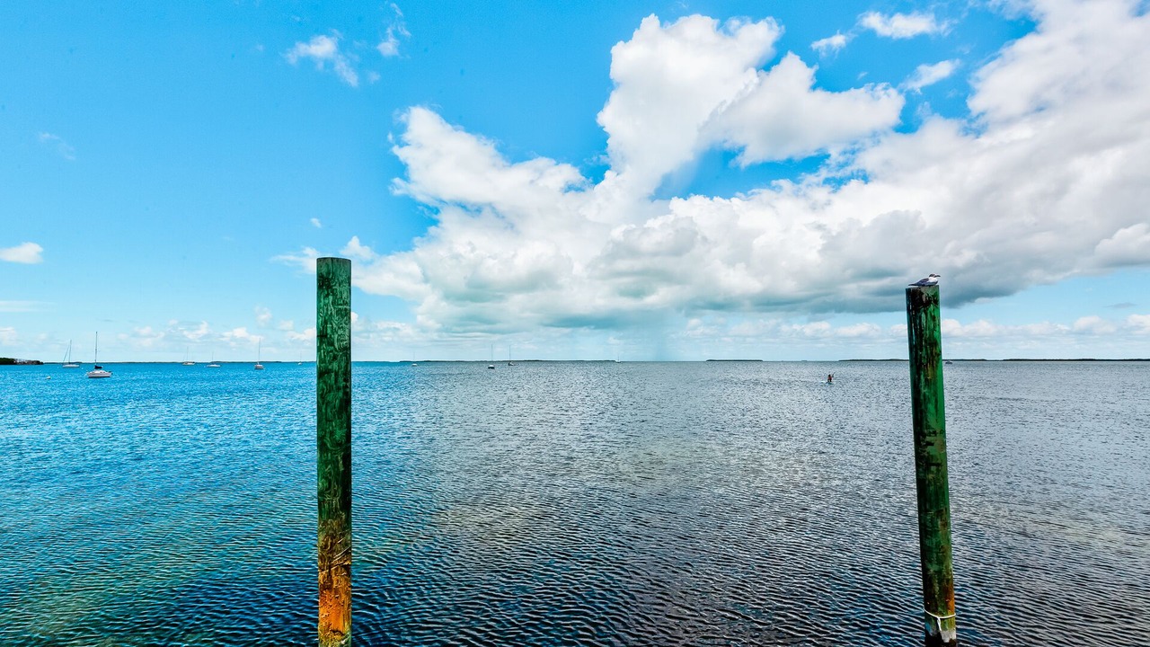 Photo of Others in Key Largo