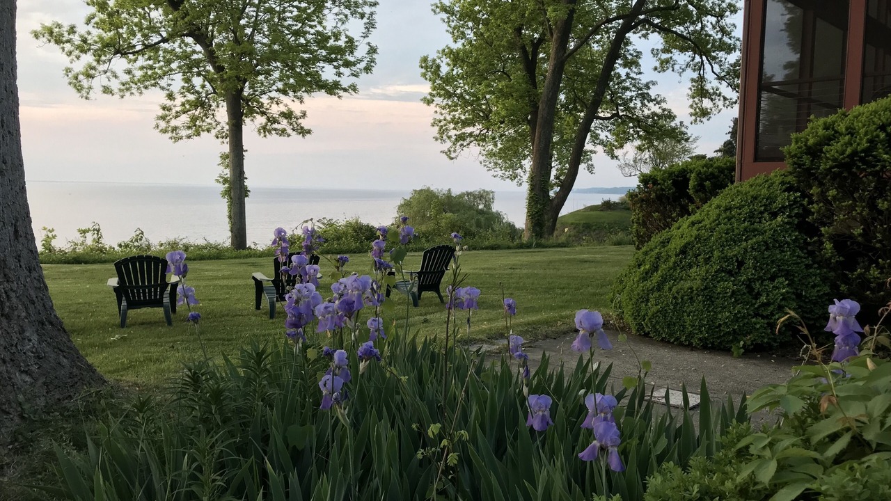 Photo of Others in Port Republic