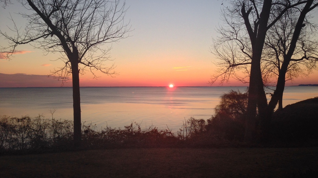 Photo of Others in Port Republic