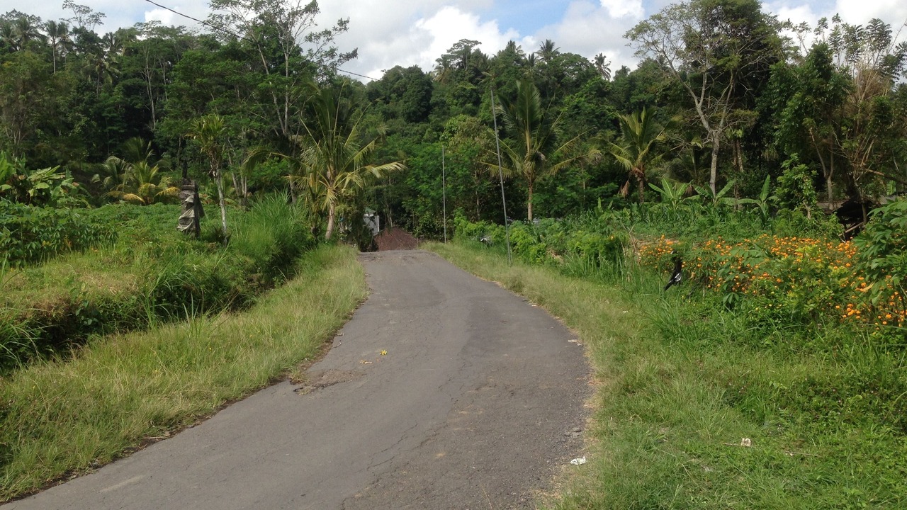 Photo of Others in Selat