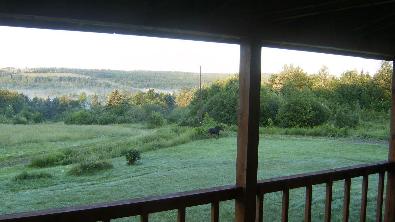 Photo of Outdoor in Island Falls