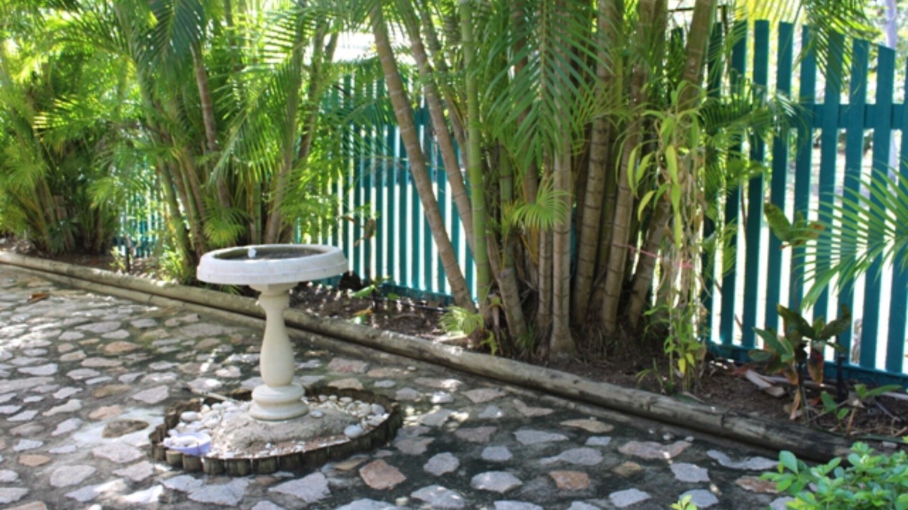 Photo of Outdoor in Arcadia