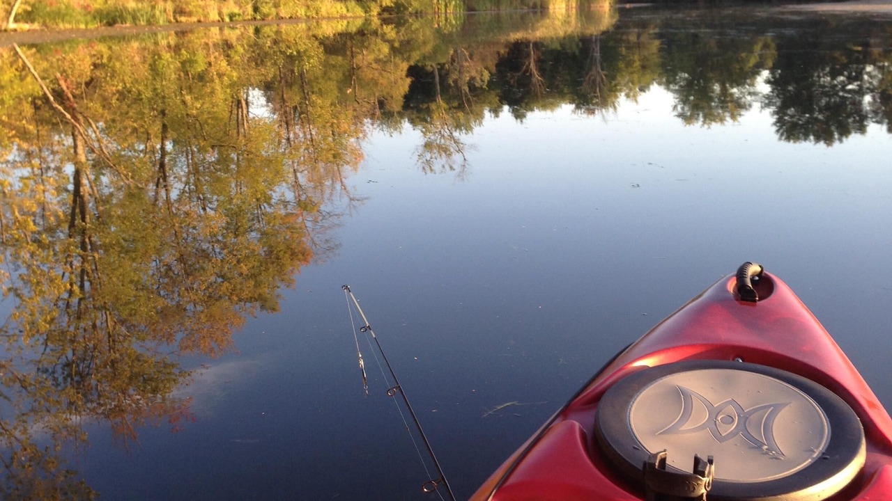 Photo of Others in Saratoga Springs