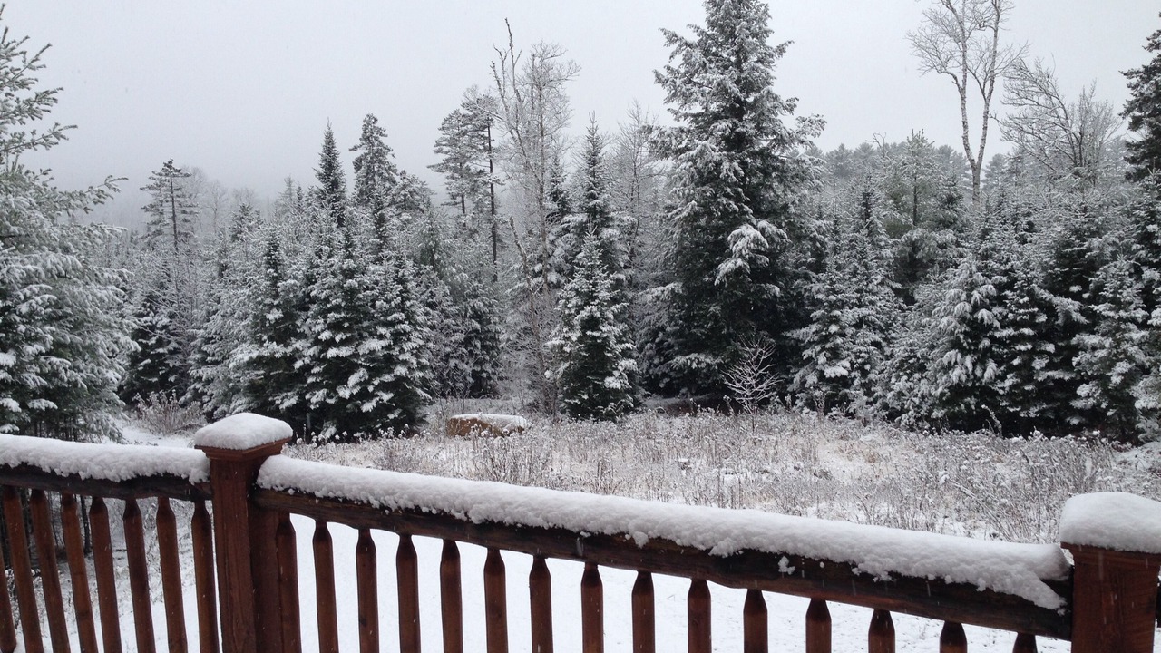 Photo of Others in Rumford Center