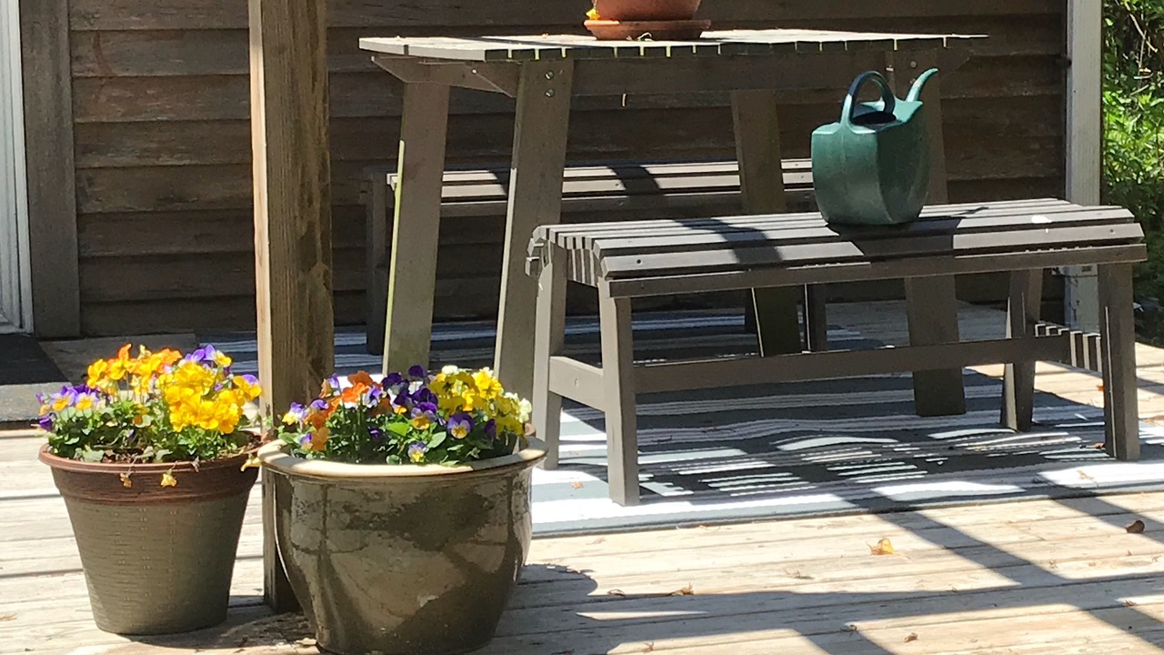 Photo of Outdoor in Cape May Point