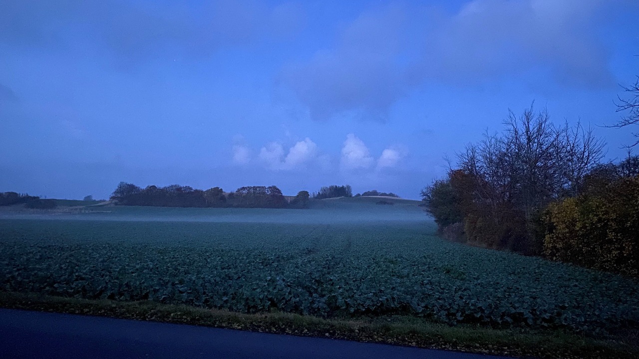 Photo of Others in Askeby