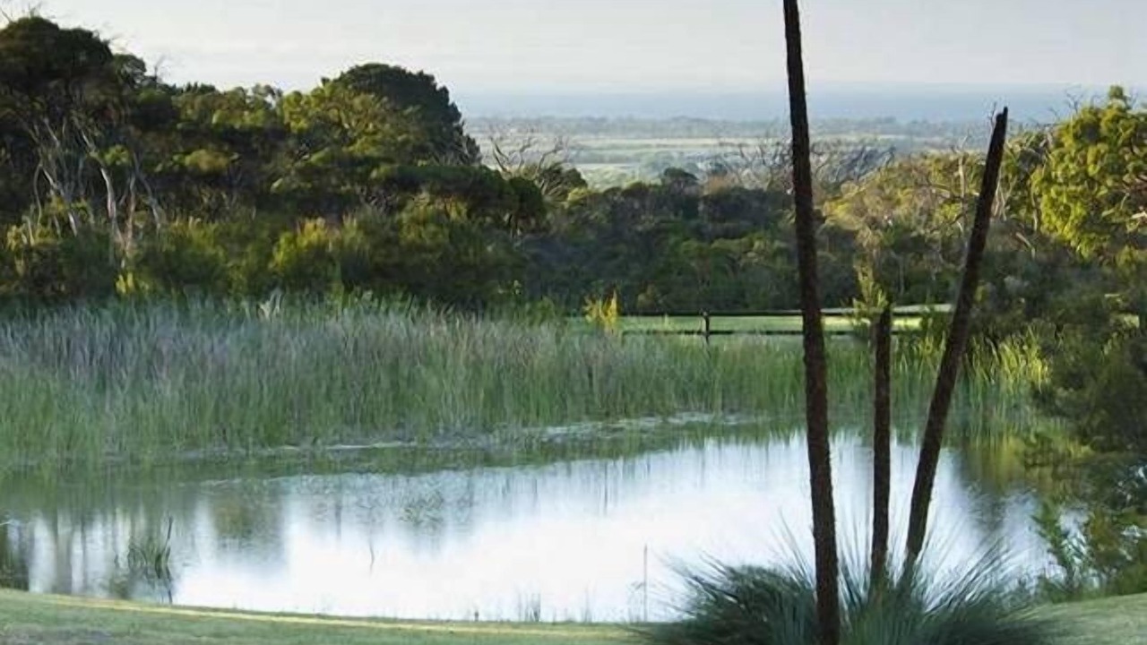 Photo of Others in Boneo