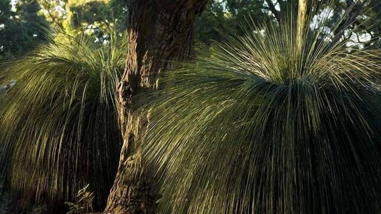 Photo of Outdoor in Boneo