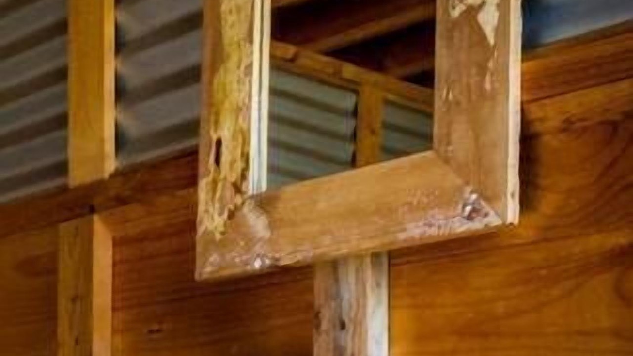 Photo of Others in Boneo