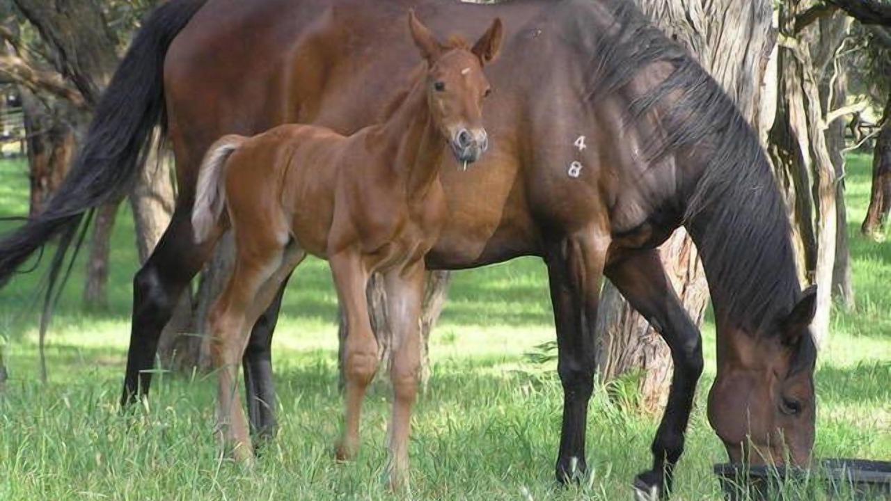 Photo of Outdoor in Boneo