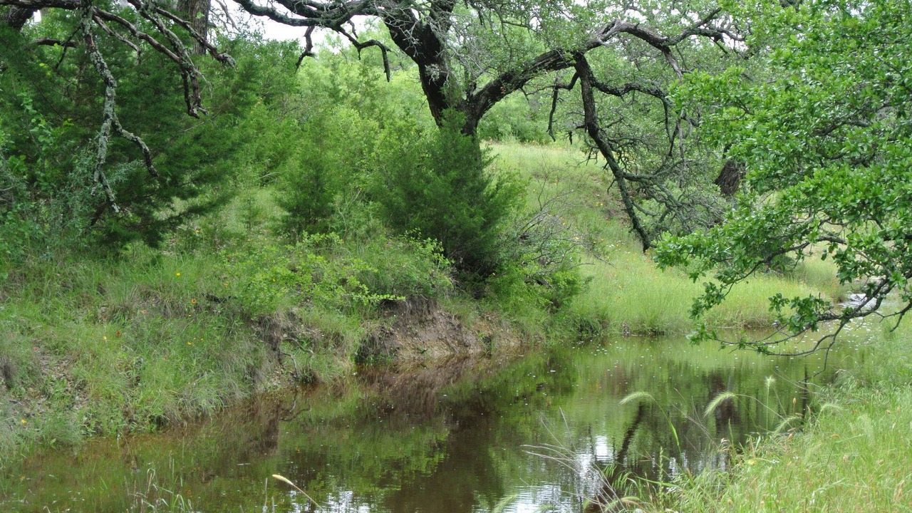 Photo of Outdoor in Lometa