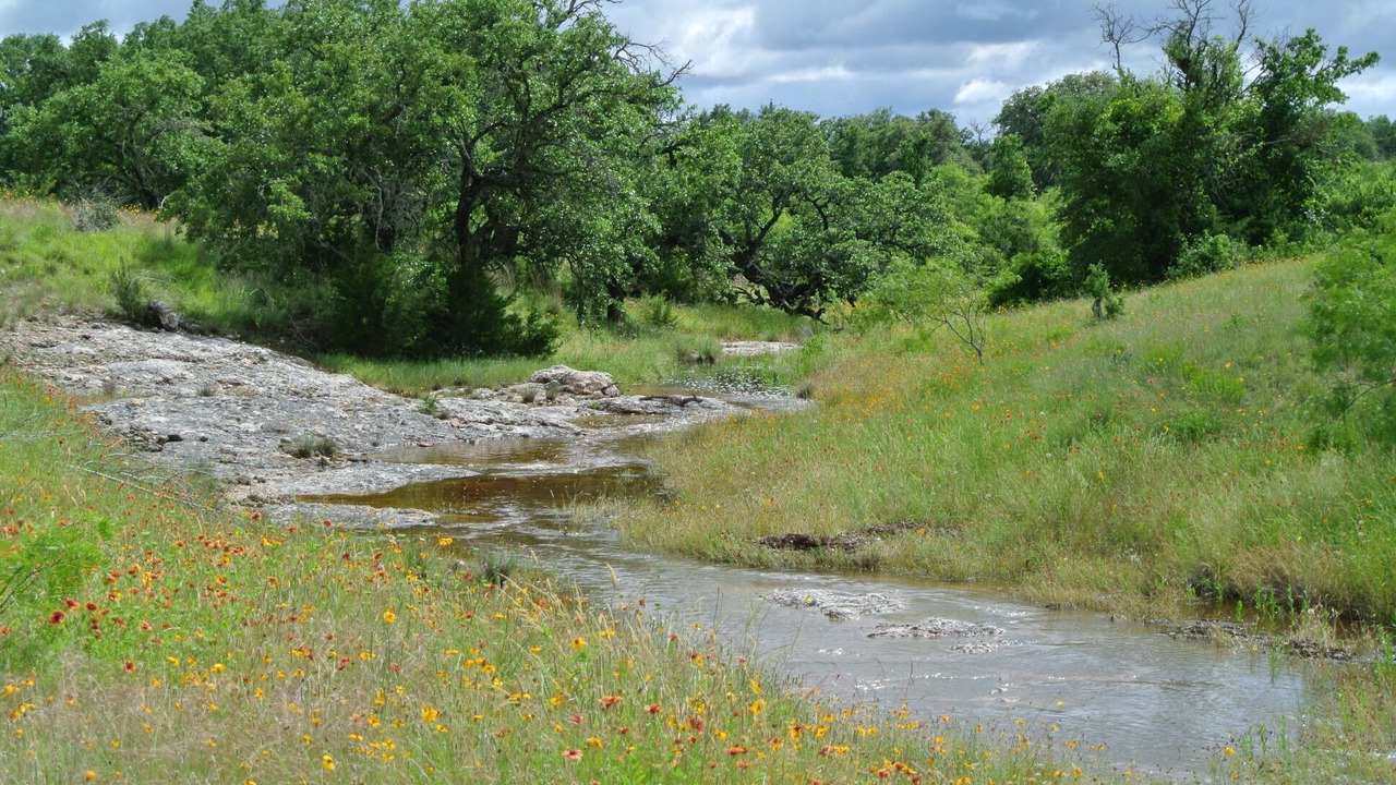Photo of Outdoor in Lometa