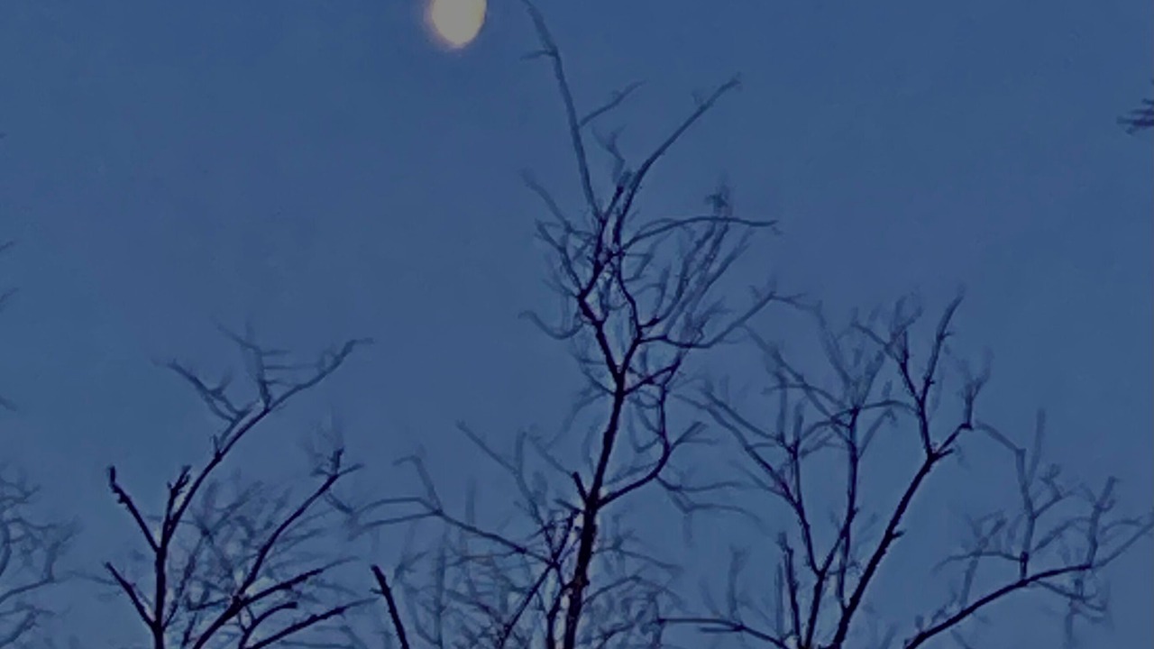 Photo of Others in Tribeca