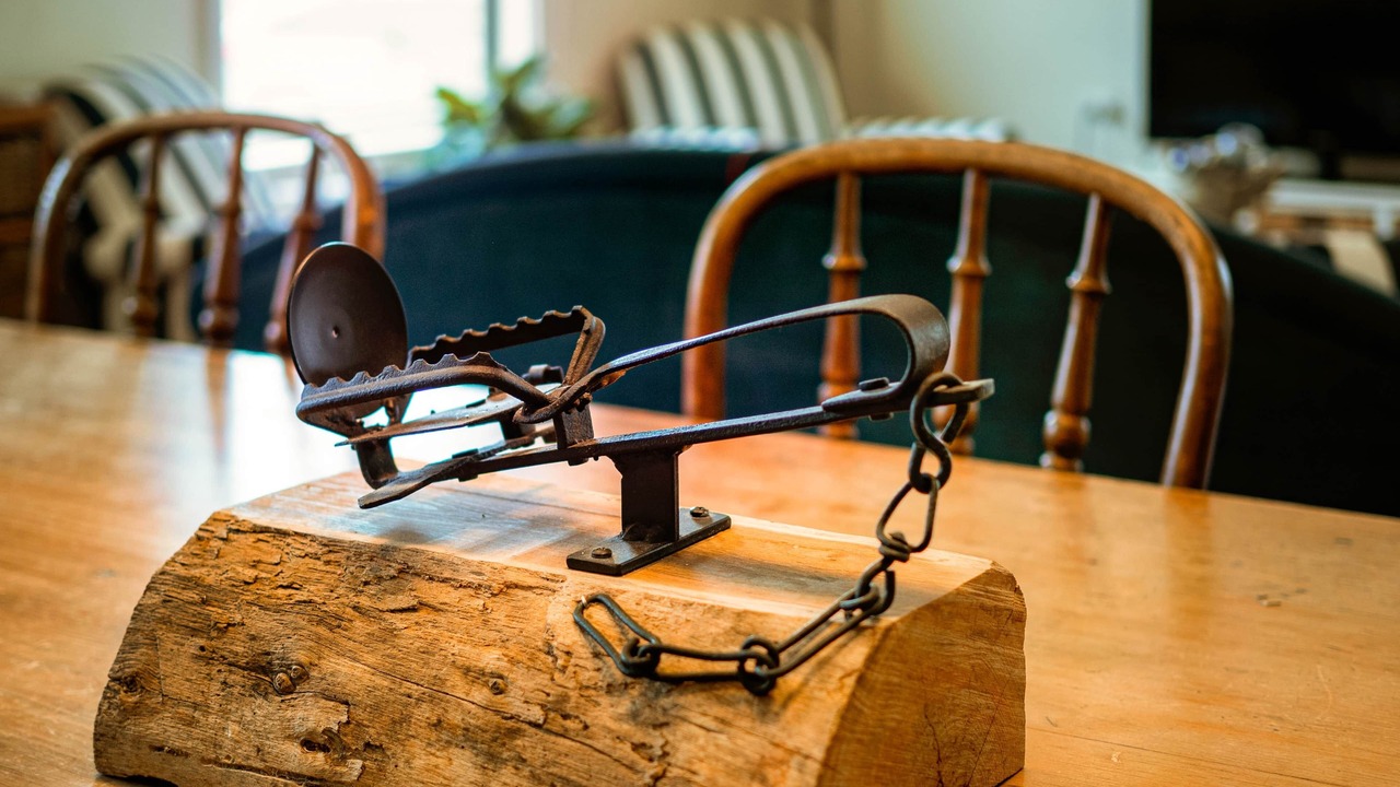 Photo of Others in Tungkillo