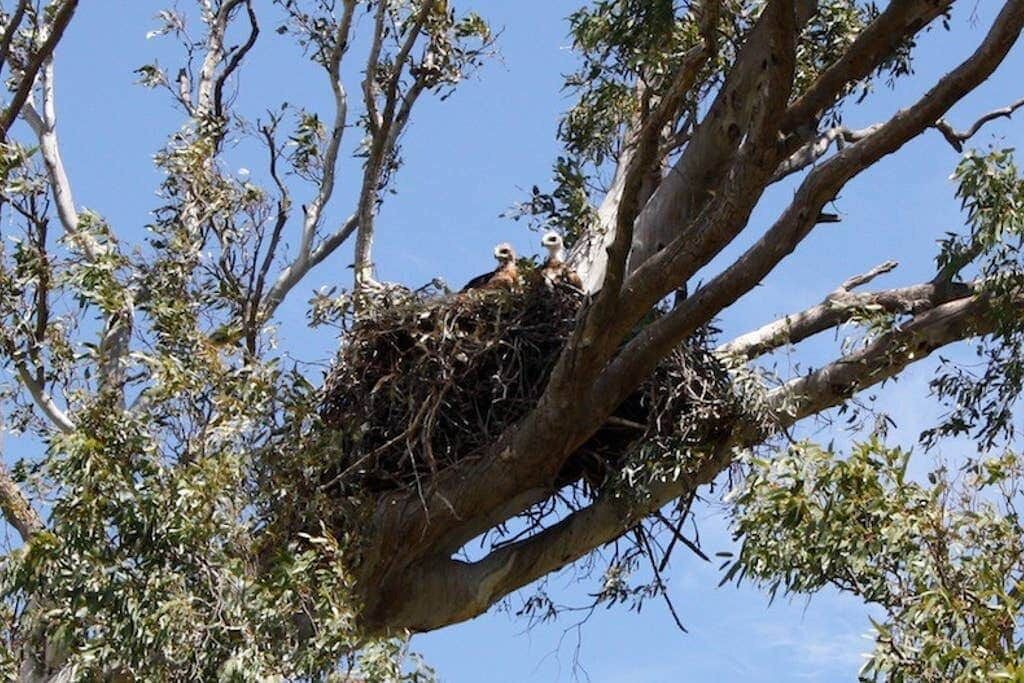 Photo of Others in Tungkillo