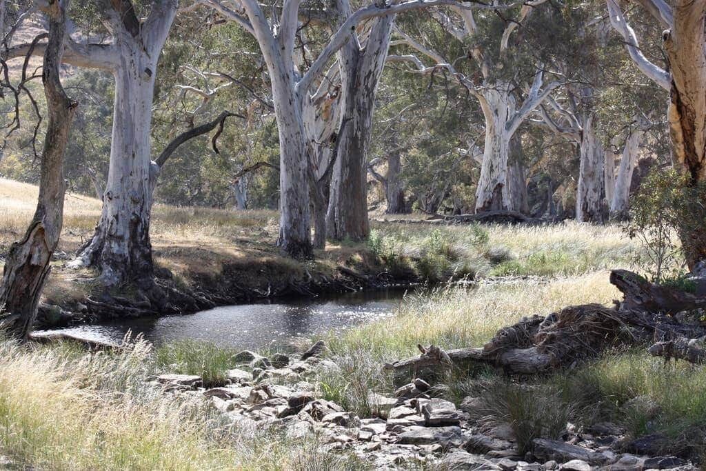 Photo of Others in Tungkillo