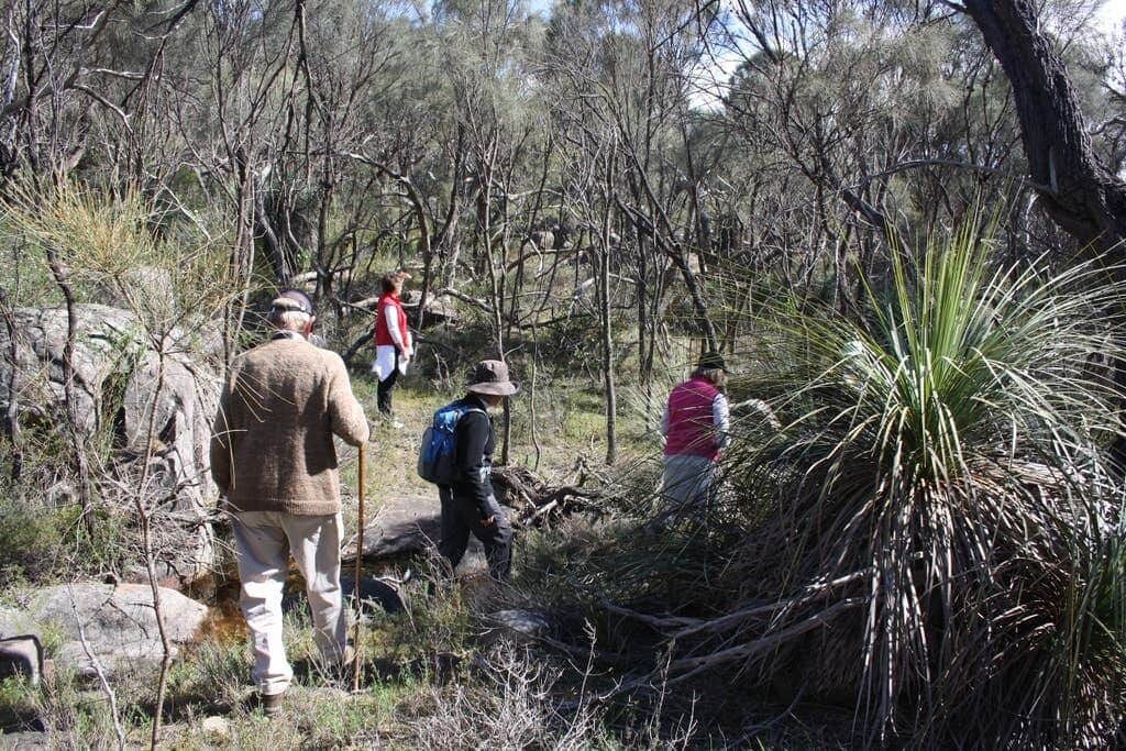 Photo of Others in Tungkillo