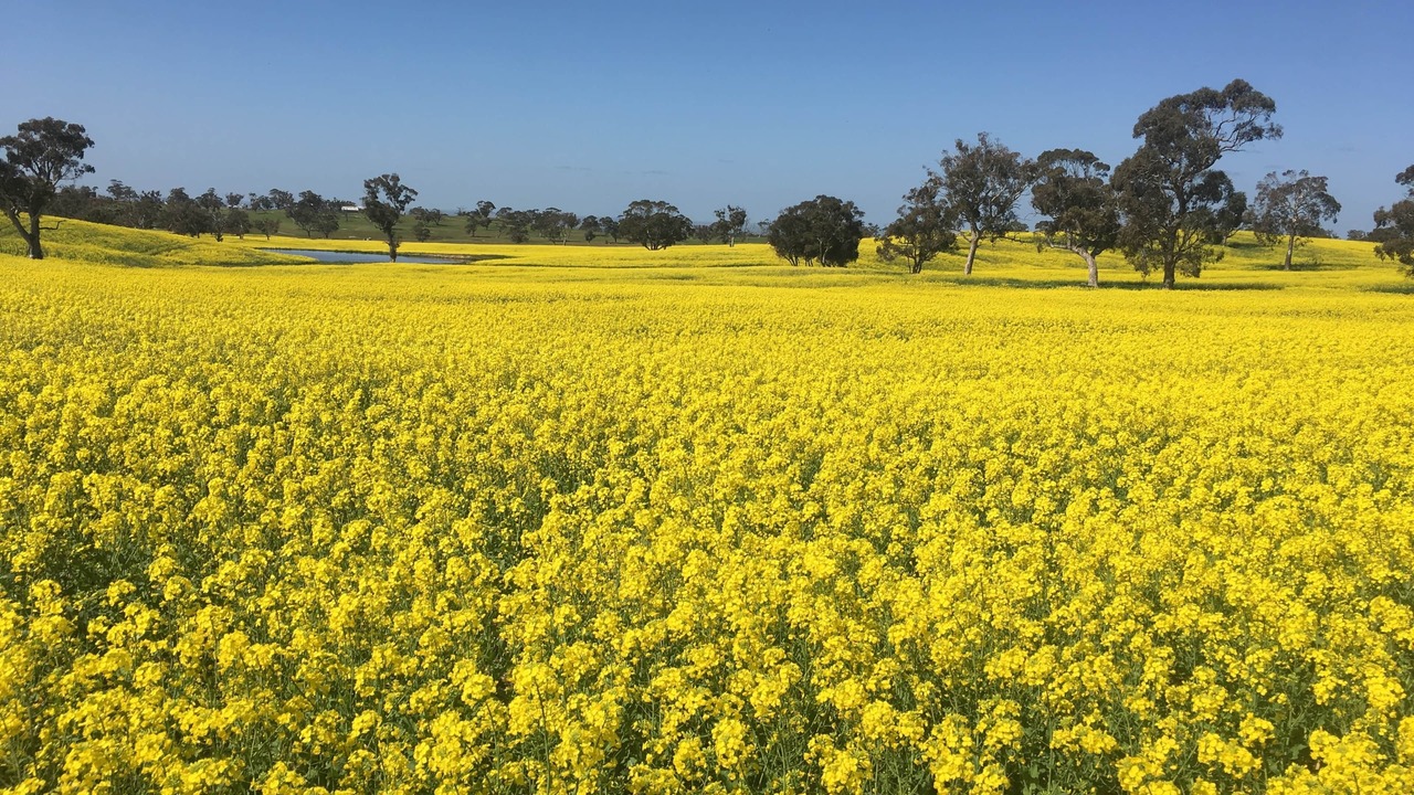 Photo of Others in Tungkillo