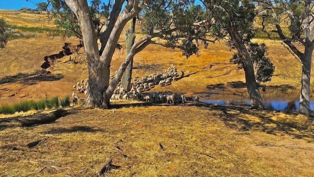 Photo of Others in Tungkillo