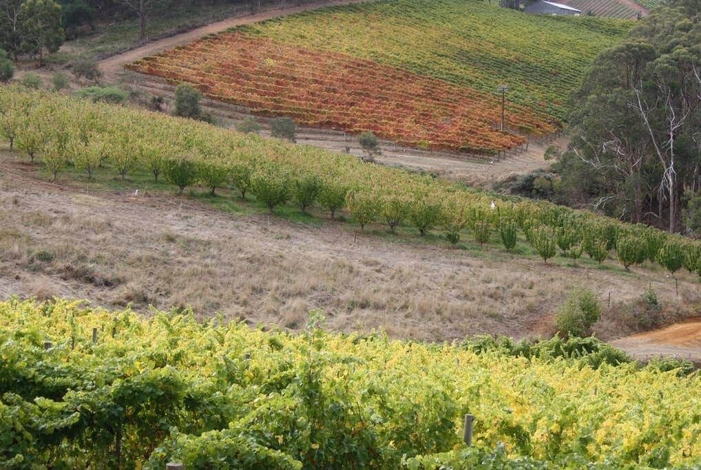 Photo of Others in Tungkillo